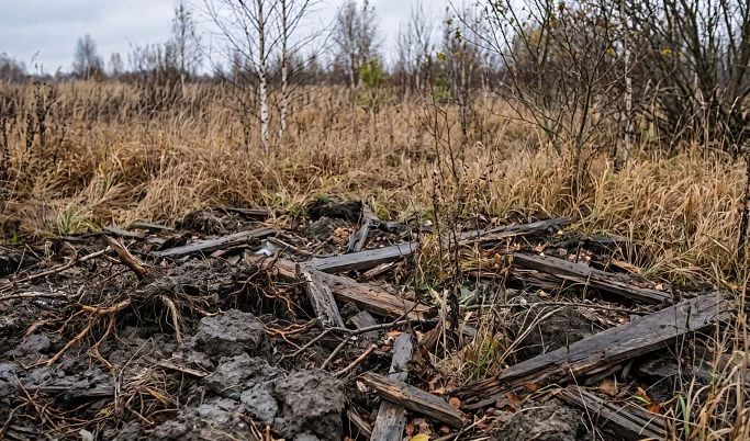 В Калязинском округе владельца заросших сельхозугодий оштрафовали на 10 тысяч рублей
