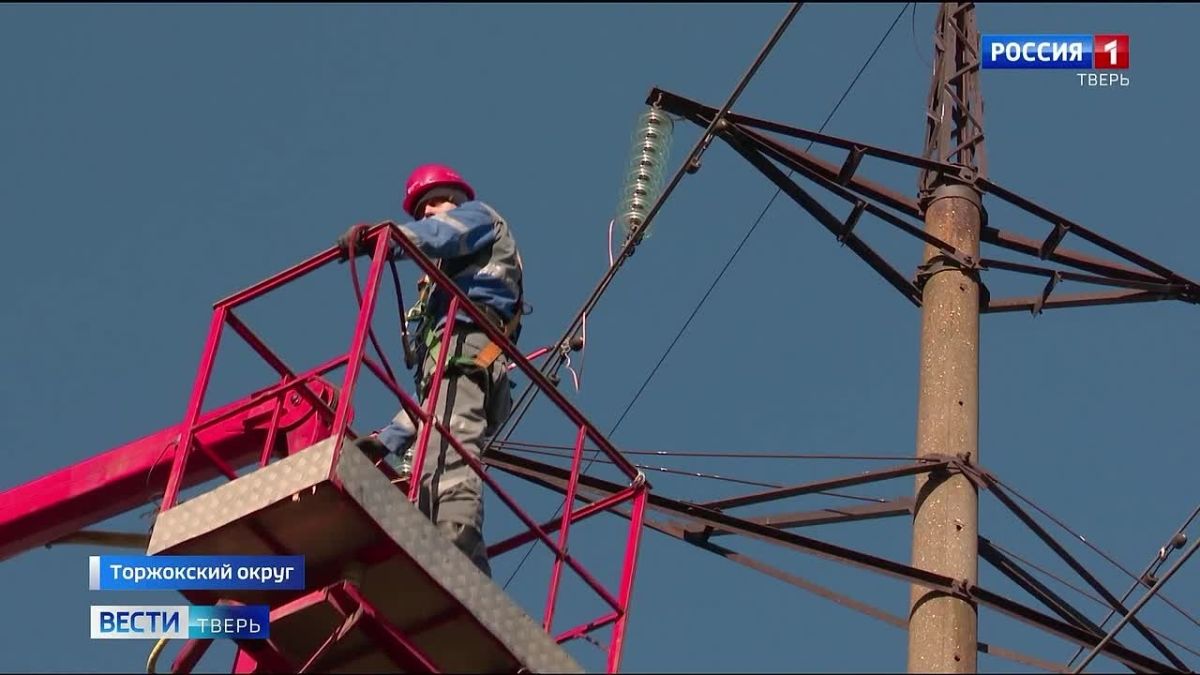 270 птицезащитных устройств установили на линиях электропередачи в Тверской области